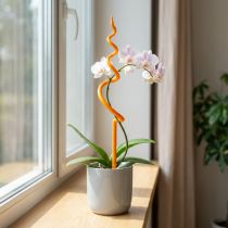 Článok Kolík na orchidey, plastový, oranžový, pomôcka na lezenie orchideí, V64 cm