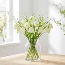 Článok Šachovnicové kvety Fritillaria umelá biela, zelená 40cm 12 ks