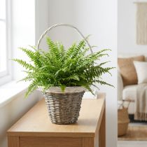 Článok Prútený košík s rúčkou, sivo-biely, Ø25 cm, V45 cm, dekoratívny kvetinový košík