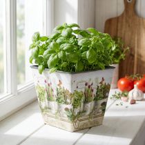 Článok Črepník na bylinky, kvetináč s motívom, kvetináč V13cm Š13,5cm