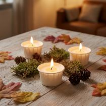 Článok Light.one papierové čajové sviečky prírodné bez plastov vegánske 12 ks