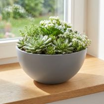Článok Plastový kvetináč, miska sivá, Ø25cm, V12cm