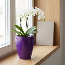 Článok Kvetináč na orchidey, lesklý, Ø12,5 cm, fialový