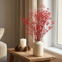 Článok Gypsophila Gypsophila sušené kvety červené 50cm 55g
