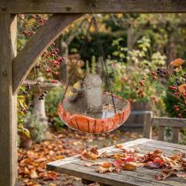 Článok Vtáčia dekorácia jesenná na zavesenie hríbik s 2 vtáčikmi Ø20cm V15cm
