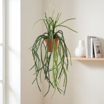 Článok Závesný košík Rhipsalis umelý koralový kaktus H87cm