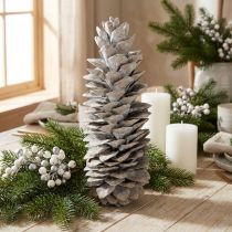 Článok Cukrové šišky obielené 20cm - 30cm