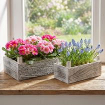 Článok Obdĺžnikový drevený box na rastliny bielený 32x17/25x13cm sada 2 ks