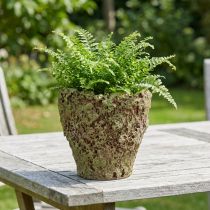 Článok Kvetináč rustikálny s machovým vzhľadom Ø17cm V16,5cm