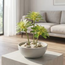 Článok Šťavnatá umelá rastlina s krompáčom Aeonium Green 30cm 4 ks