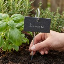 Článok Prírodné bridlicové dosky Plug Plant Signs Black 25 cm