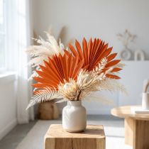Článok Palmspear Sun Orange 30 ks