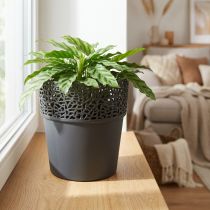 Článok Kvetináč plastový kvetináč antracit Ø14,5cm V15,5cm