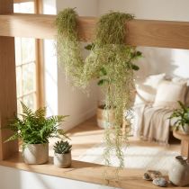 Článok Tillandsia dekoračný záves Tillandsia umelá zelená biela 180cm