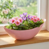 Článok Rastlinná loďka plastová miska na kvety ružová 28×9×9cm 3ks
