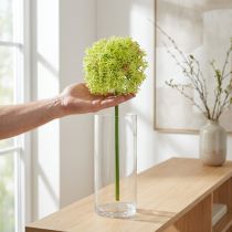 Článok Allium zelený kvet umelá okrasná cibuľa Ø18cm 90cm