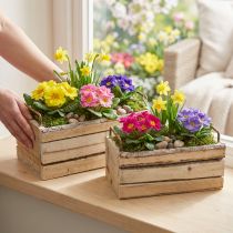 Článok Kvetináč Drevená kôra Prírodná rukoväť L29cm/23cm Sada 2ks