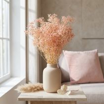 Článok Gypsophila Dekorácia Pomarančové sušené trávy Broskyňa 65-70cm 100g