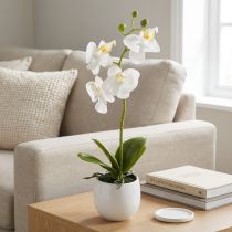 Článok Umelé kvety orchidey v kvetináči Phalaenopsis V33 cm