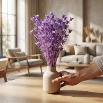Článok Kytica sušených kvetov Nigella, dekoratívne využitie v obývačke, vytvára jedinečnú atmosféru, 70 cm, 50 g