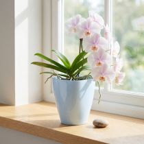 Článok Kvetináč na orchideu lesklý Ø12,5cm biely 1 ks