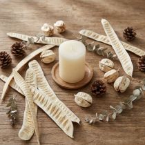 Článok Scaletta struk bielený 25 ks