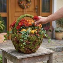 Článok Rustikálny kvetináč s machom a šiškami - ozdobný kôš s rúčkou Ø32cm V42cm - všestranná dekorácia do záhrady a domu
