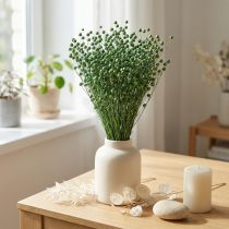 Článok Sušená ľanová tráva, zelená, 50-55 cm, dekoratívna, DIY