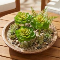 Článok Echeveria Umelé sukulenty zelené Ø7cm 6 ks