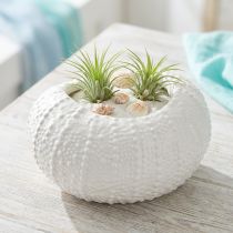 Článok Ozdobná miska keramický námorný ovál v bielej farbe 19x15x8,5cm