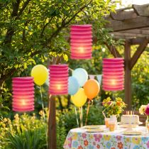 Článok Lampion Vlak Lucerna Ružová Ø10cm V13cm 8ks