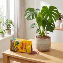 Článok Seramis rastlinné granule pre izbové rastliny 2,5l