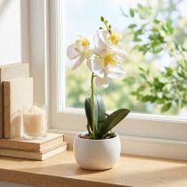 Článok Umelé orchidey v kvetináči biele mini orchidey Ø7cm V22cm