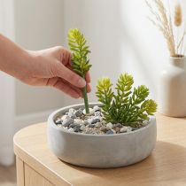 Článok Umelý sukulentný kvet pre nenáročný dizajn obytných a kancelárskych priestorov, 15 cm, 6 kusov