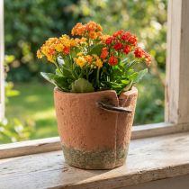Článok Betónový kvetináč kvetináč terakotový kvetináč Ø13cm V13cm