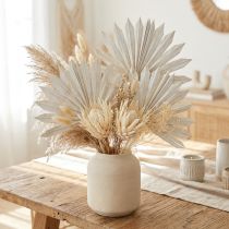 Článok Palmspear Sun mini bielený 50 ks