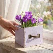 Článok Zásuvka Shabby Chic Deco Wood Purple Spring Deco 12,5×12,5×10cm