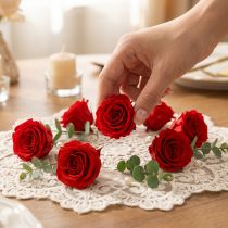 Článok Infinity Roses Real Flowers Mini ružové hlávky červené Ø3cm 16 ks