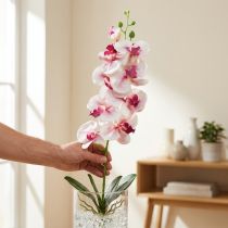 Článok Orchidea Phalaenopsis umelé 9 kvetov biela fuchsiová 96cm