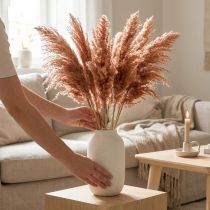 Článok Dekorácia z trstiny - sušené marhule 75 cm, 10 ks, boho pampasová tráva