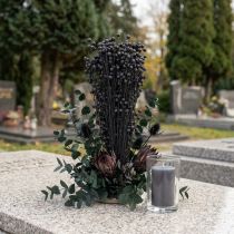 Článok Sušená ľanová dekoratívna tráva, čierna, 50-55 cm, 80 g
