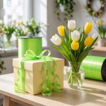 Článok Curlingová stuha jablkovo zelená 4,8mm 500m