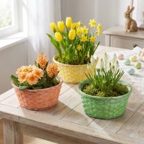Článok Kôš na rastliny okrúhly Ø25cm oranžový, žltý, zelený 6 ks