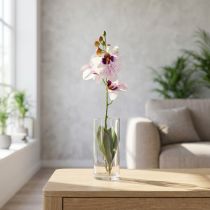 Článok Umelá orchidea Phalaenopsis, biela a fialová, 43 cm