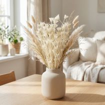 Článok Sušené kvety Nigella Orientalis, čierna rasca, biela 50 cm 100 g