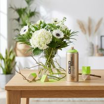 Článok Farba v spreji jablkovo zelená farba v spreji akrylová farba Montana Gold 400ml