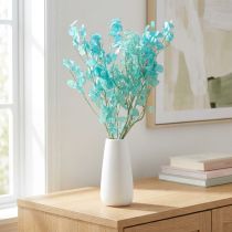 Článok Sušený strieborný list Lunaria svetlomodrý 65-70cm 20g
