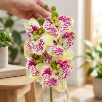Článok Umelá vetvička orchidey Phaelaenopsis Zelená Ružová V49cm