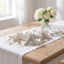 Článok Dekorácia hviezdice veľká sušená hviezdicová hviezdica biela 15-18cm 10 kusov