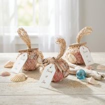 Článok Zmes námorných dekoratívnych mušlí v sieťke, farebná, 3,5-6 cm, 300 g × 3 kusy